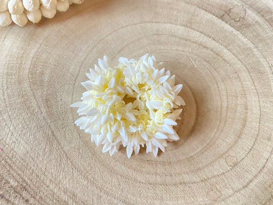 Jasmin Gajra / Juda Floral Bun Hair Styling